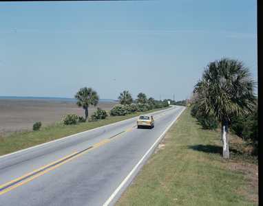 AMS362_SAVANNAH_0001.jpg