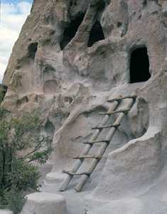 AMS490_BANDELIER_0004.jpg