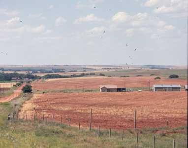 AMS506_0002_OKLAHOMA.jpg