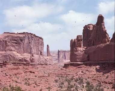 AMS610_ARCHES_0001.jpg