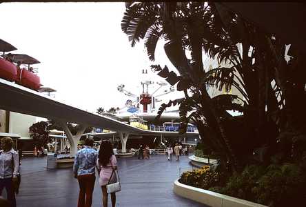 AMS_DISNEYLAND_0109.jpg