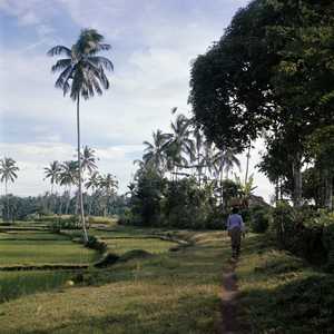 BA1_BALI_0004_6X6.jpg