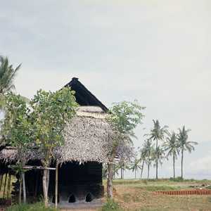 BA1_BALI_0010_6X6.jpg