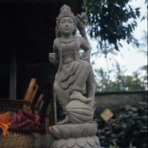 BA2_BALI_0002_6X6.jpg