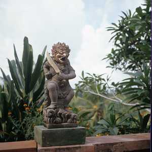 BA2_BALI_0003_6X6.jpg