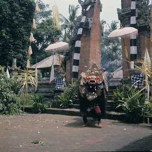 BA2_BALI_0019_6X6.jpg