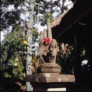 BA3_BALI_0002_6X6.jpg