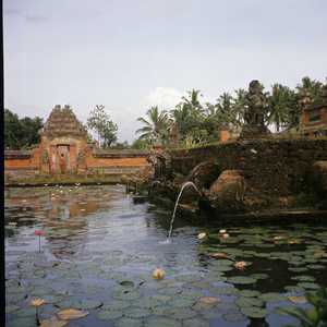 BA3_BALI_0003_6X6.jpg