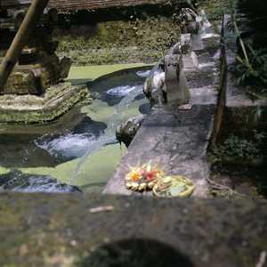 BA3_BALI_0004_6X6.jpg
