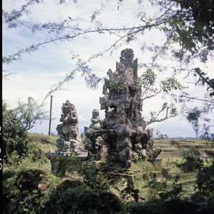 BA3_BALI_0013_6X6.jpg