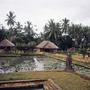 BA5_BALI_0021_6X6.jpg