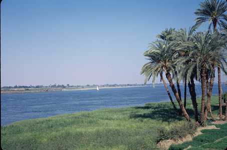 EC_EGITTO_0289_CAIRO.jpg