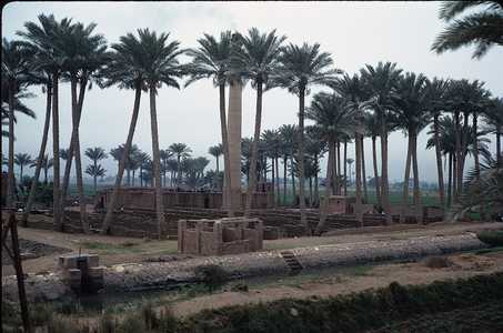EC_EGITTO_0403_CAIRO.jpg