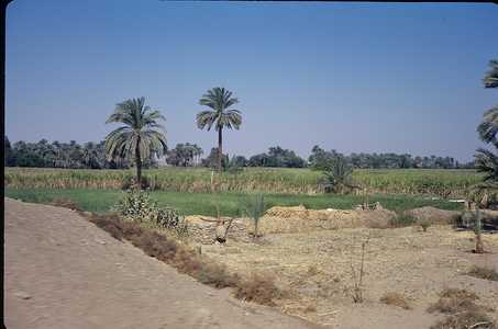 EC_EGITTO_0409_CAIRO.jpg
