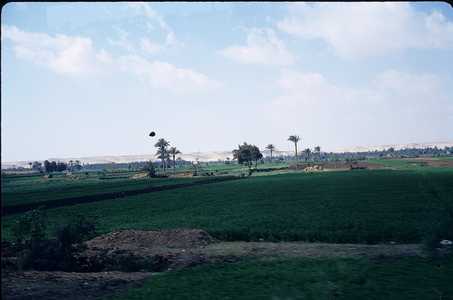 EC_EGITTO_0413_CAIRO.jpg