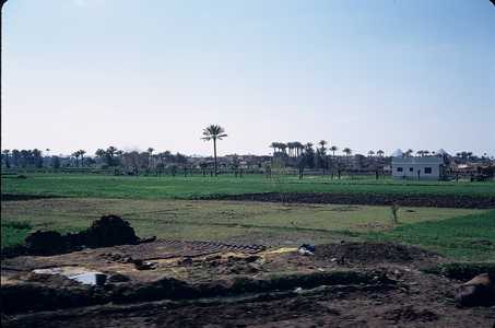 EC_EGITTO_0415_CAIRO.jpg