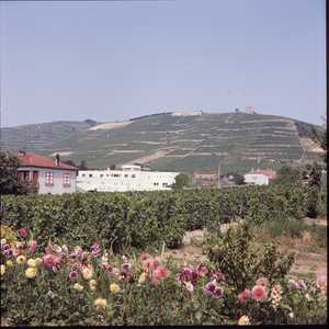 FRA013_0001_RODANOALPI.jpg