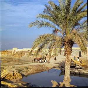 IRQ_004_0004_IRAQ.jpg