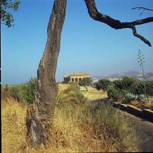 AG1_AGRIGENTO_0002.jpg