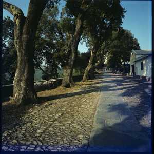 L039_02_RAPALLO.jpg