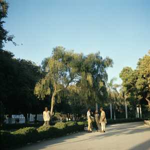 PAK3_PAKISTAN_0018.jpg