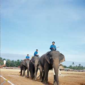 T8_THAILANDIA_0021_6X6.jpg