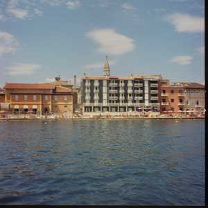 YUPI4_0001_PIRANO.jpg