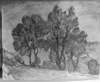 llo_0251_small.jpg