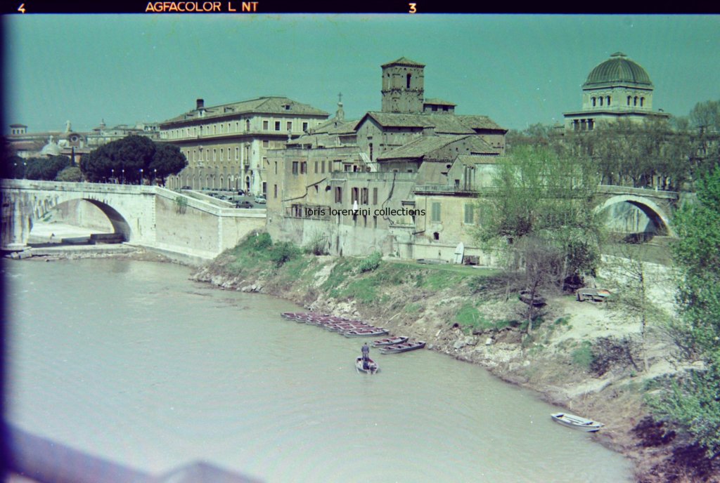 llo_0404.jpg