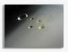 goccia12_small.jpg