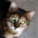 dsc_1650_small.jpg