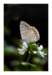 dsc_3393_small.jpg