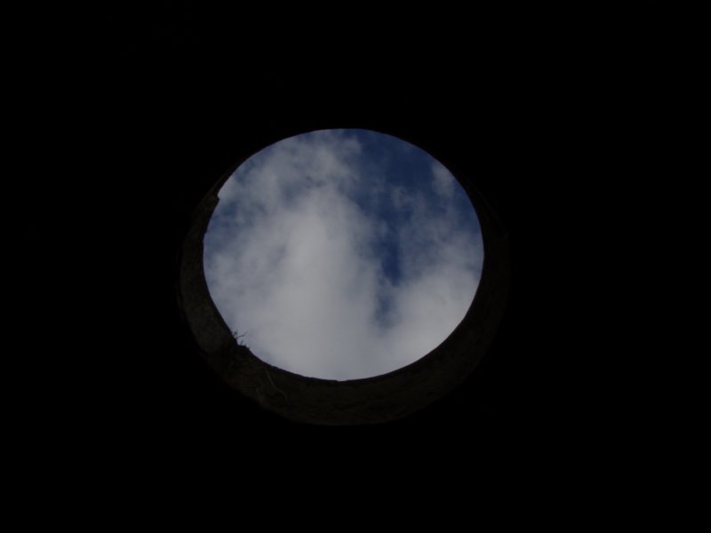 luna.jpg