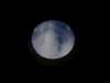 luna_small.jpg