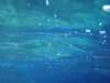 sottacqua2_small.jpg