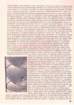 epson029_small.jpg