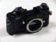 dsc09858_small.jpg
