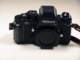 dsc09884_small.jpg