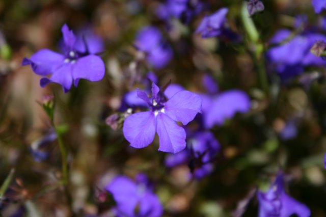 foto17.jpg