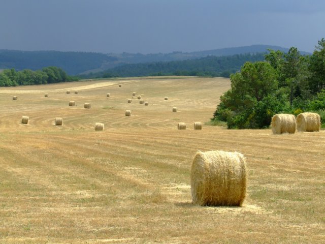 foto19.jpg