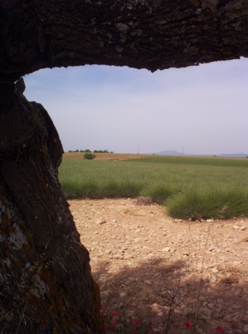 provenza11.jpg
