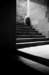 _78d57b3201_b_small.jpg