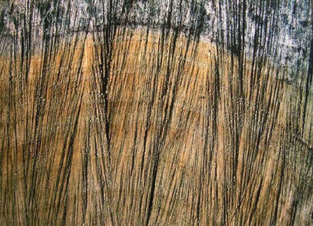 artusi11.jpg