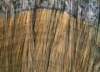 artusi11_small.jpg