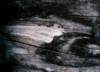 artusi12_small.jpg