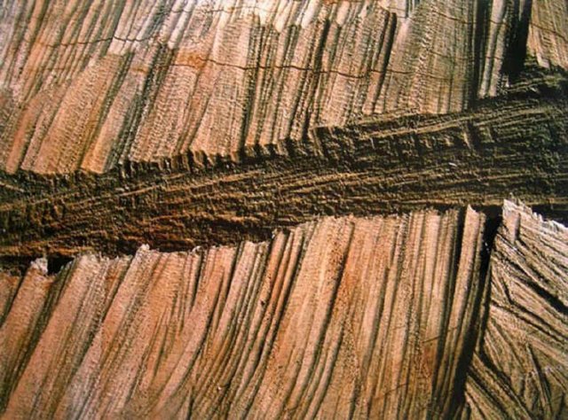 artusi13.jpg
