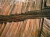 artusi13_small.jpg