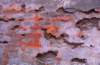 colalongobrunomostrafiguramurariaimmaginata20124_small.jpg