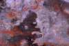 colalongobrunomostrafiguramurariaimmaginata20126_small.jpg