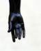 dsc_0181mano_small.jpg